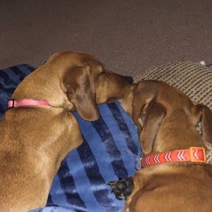 Meet your Posher, Jessi